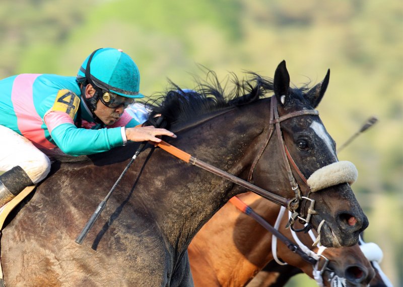 Zenyatta with her jockey and trees in the background.