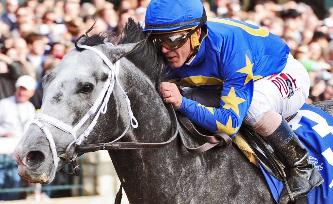 Image of Liams Map Racing