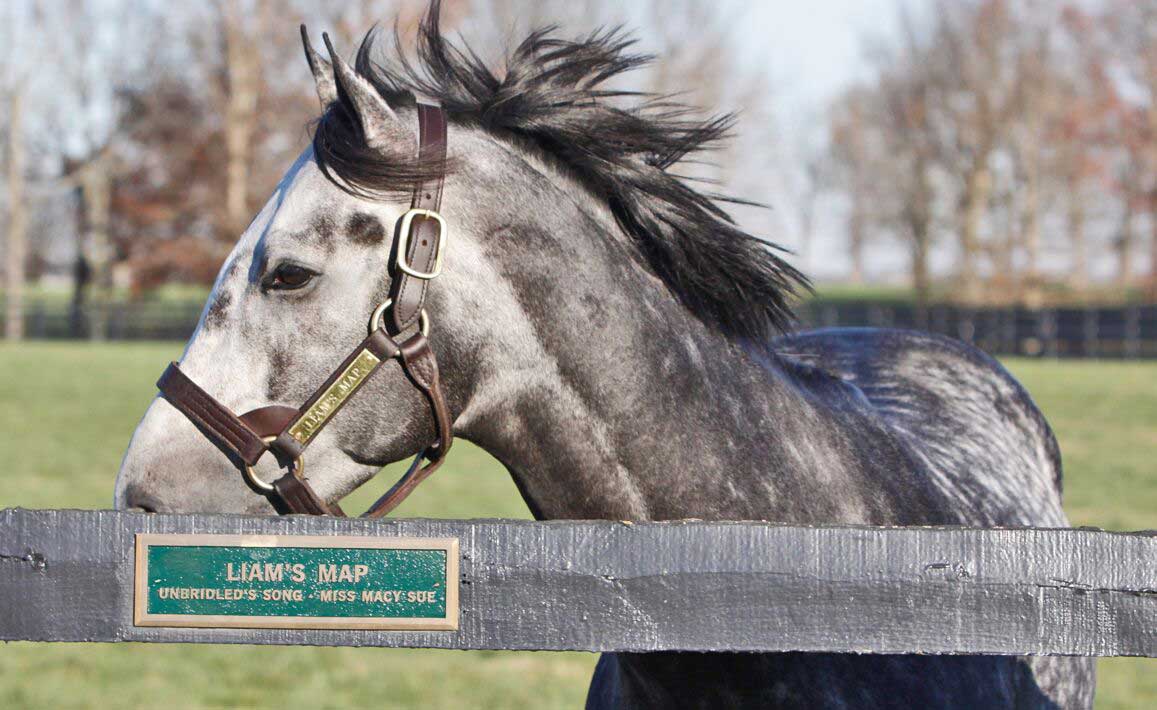 Image of Liams Map Lane's End Farm