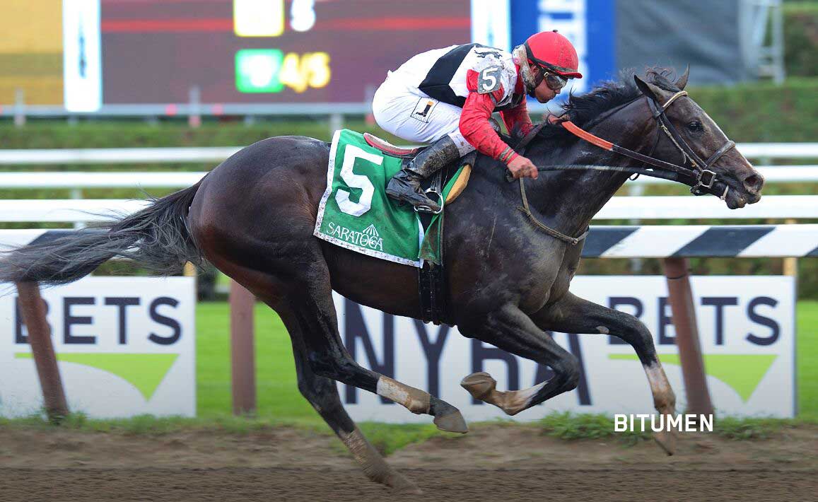 Image of Bitumen Racing