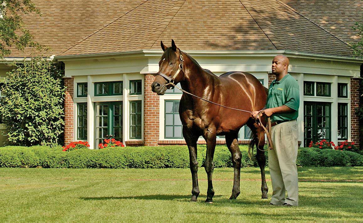 Image of Mineshaft at Lane's End Farm