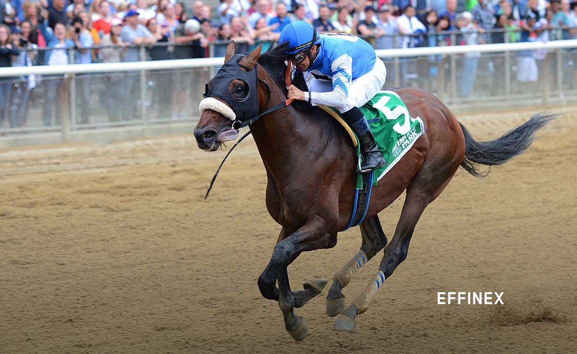 Image of Effinex Racing