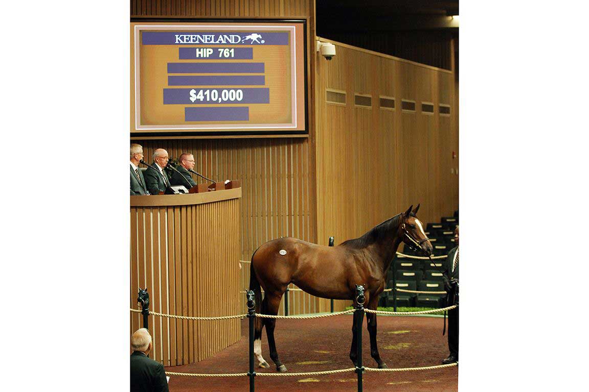 Hip 761 yearling at Keeneland September Sale 2018
