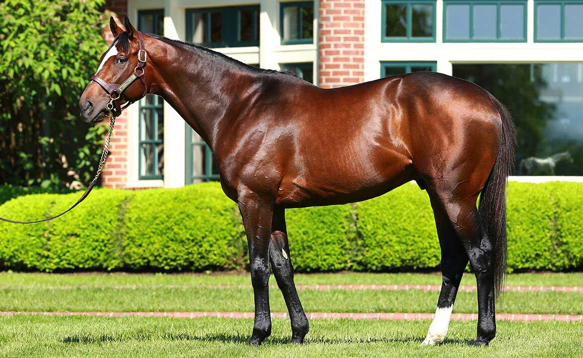 Tonalist Confirmation Image