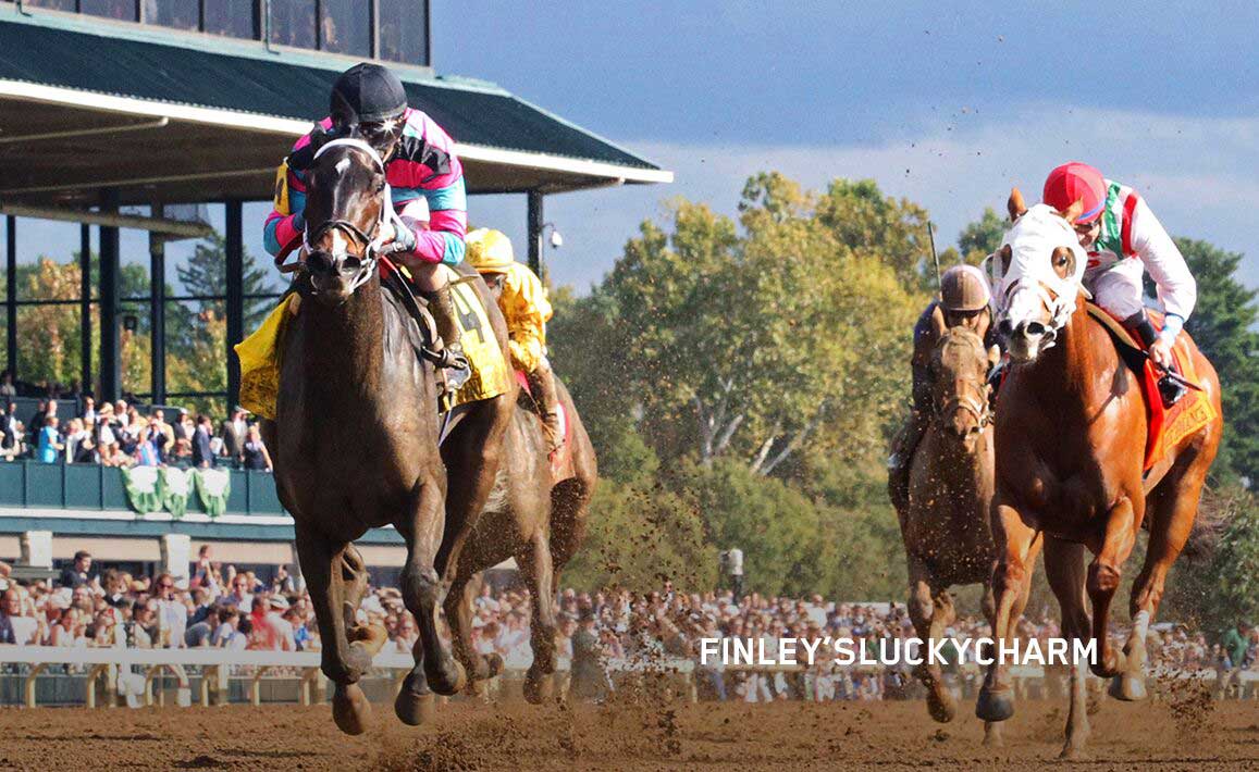 Racing Image of Finley'sluckycharm