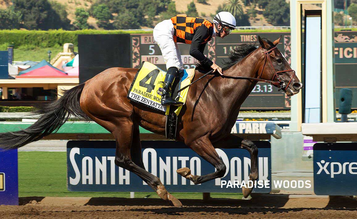 Racing Image of Paradise Woods