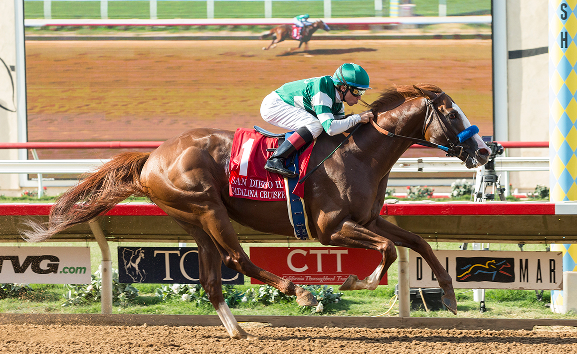 Racing Image of Catalina Cruiser