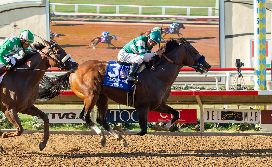 Racing Image of Cistron