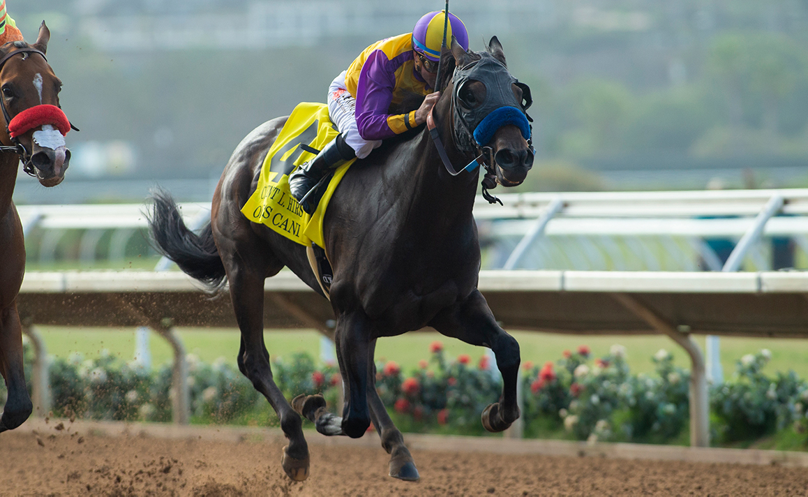 Racing Image of Ollie's Candy