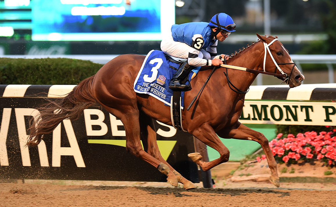 Racing Image of Wicked Whisper