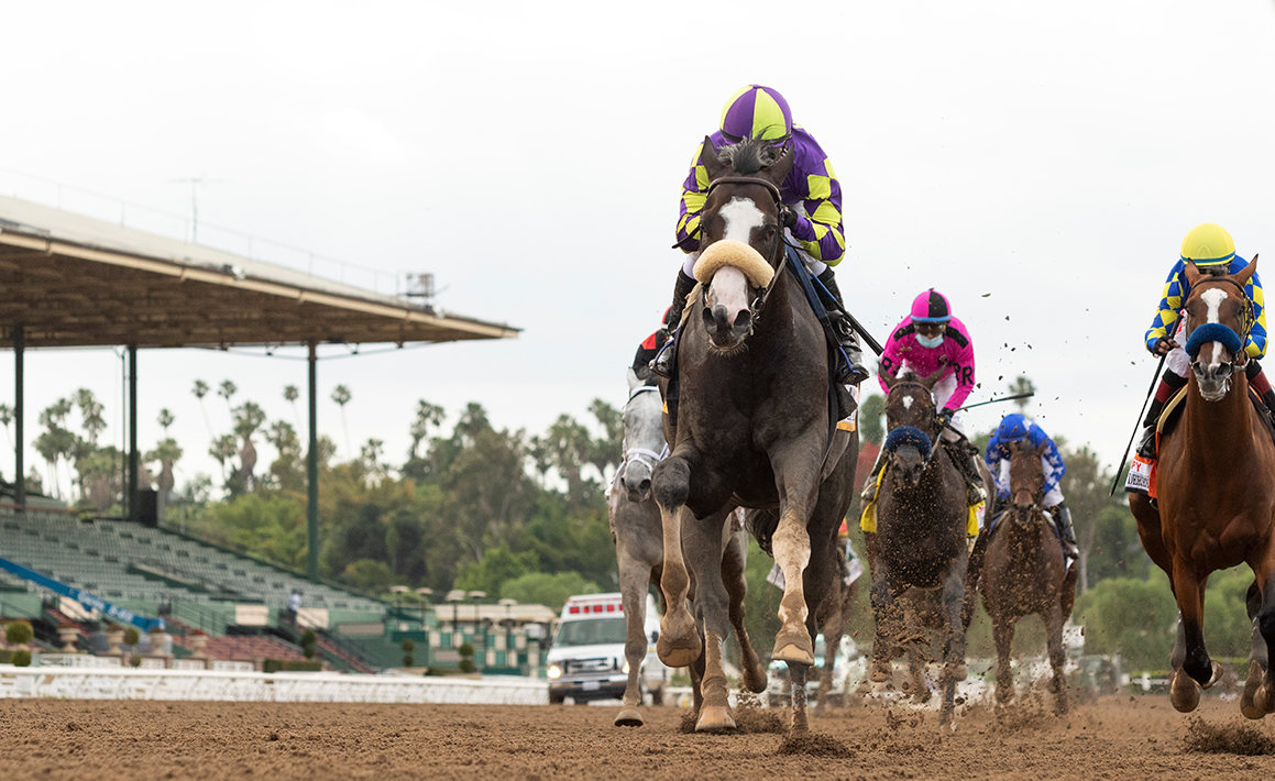 Honor A P G1 Santa Anita Derby