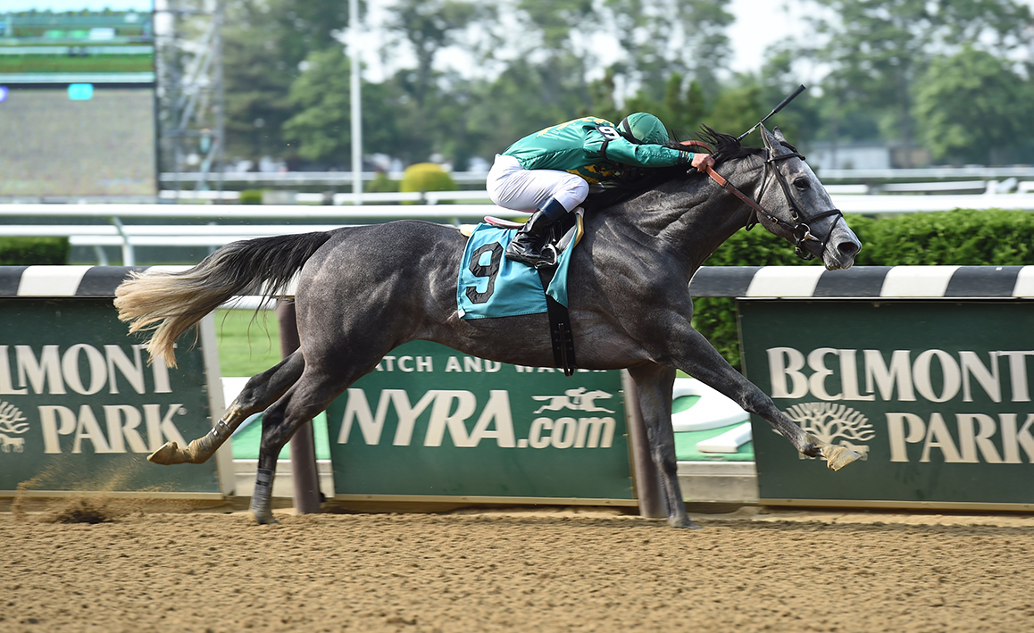 Gift Box Racing Image