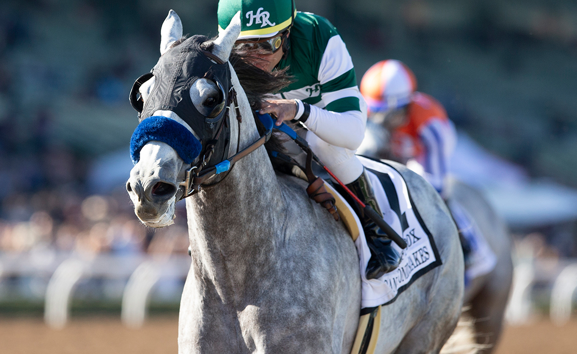 Gift Box Racing Image