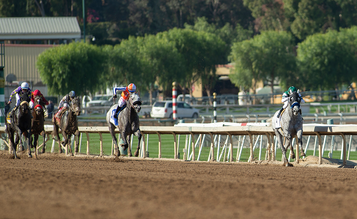 Gift Box Racing Image