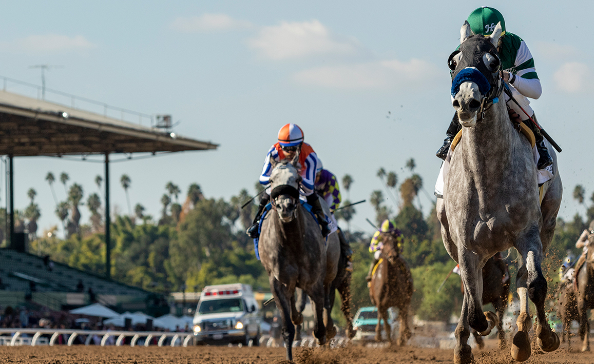 Gift Box Racing Image