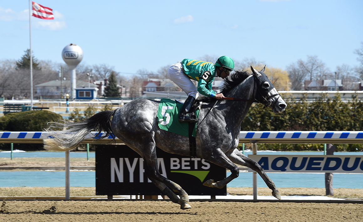 Gift Box Racing Image