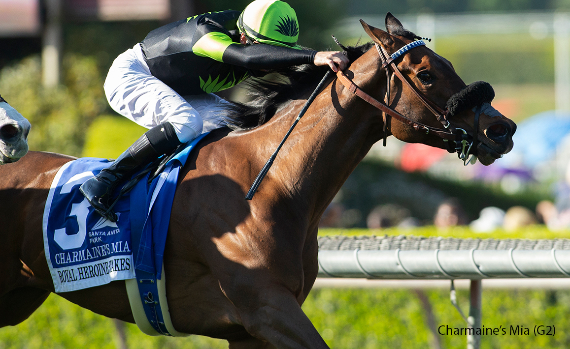 Racing Image of Charmaine's Mia