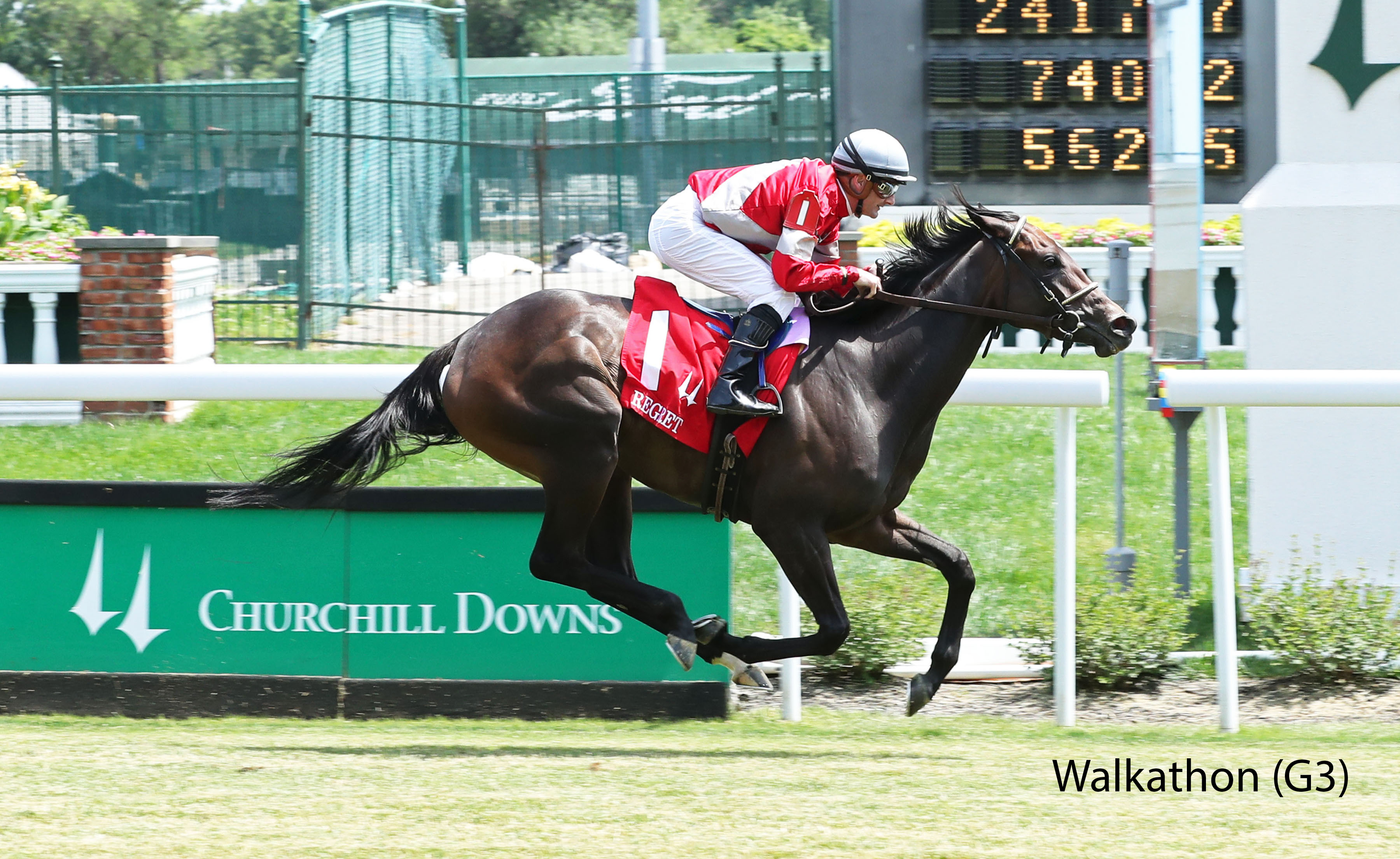 Racing image of Walkathon