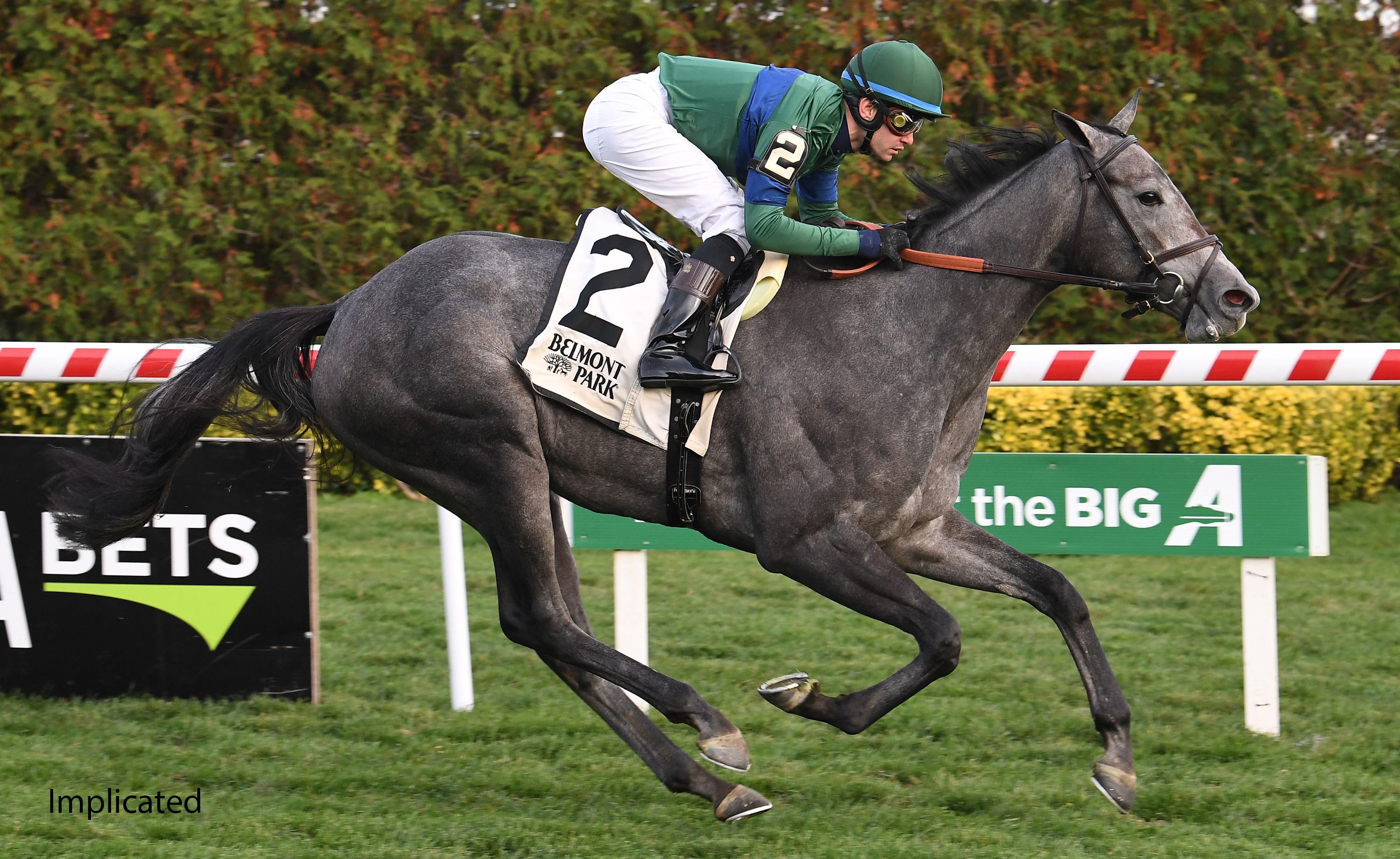 racing image of implicated