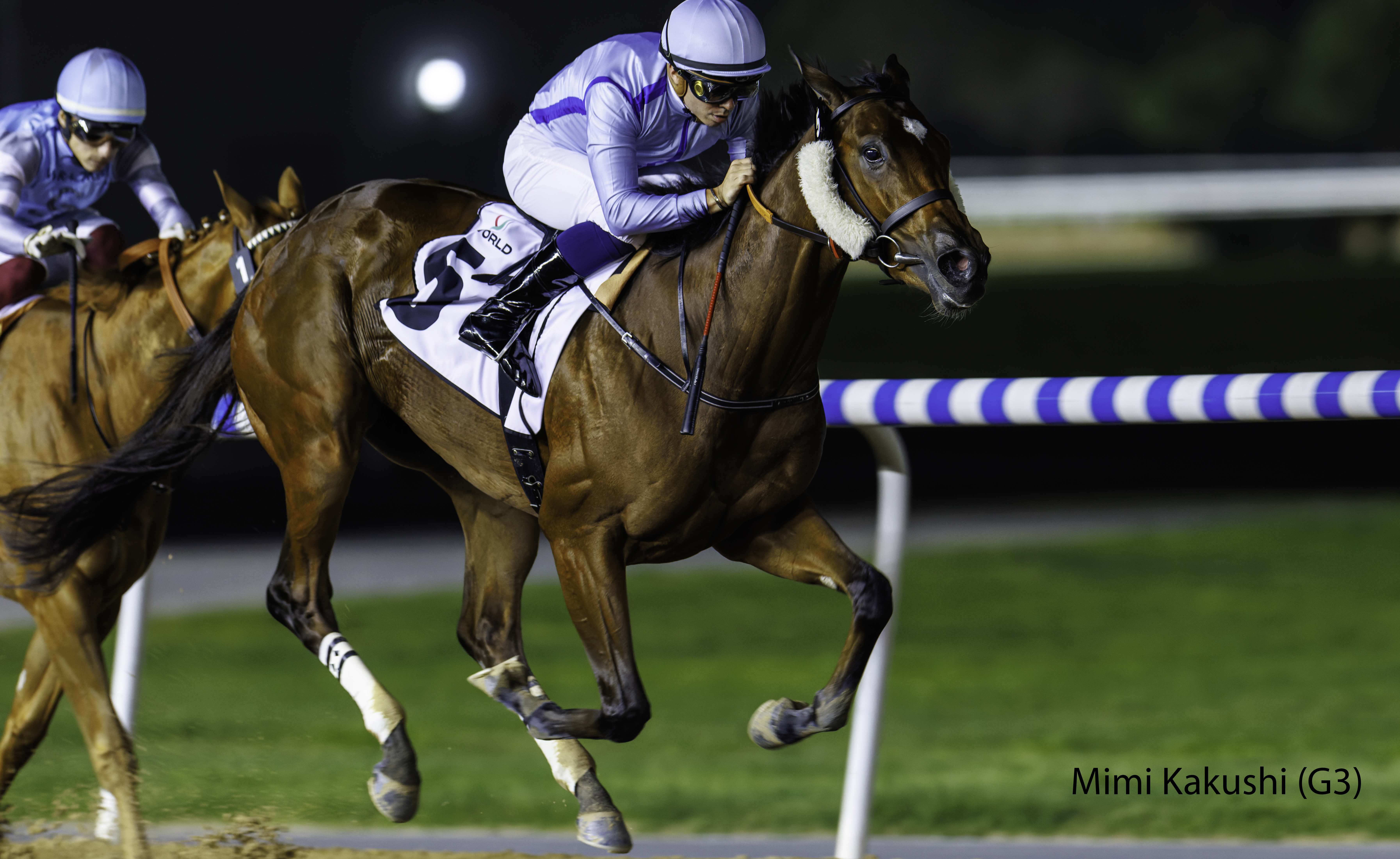 Racing image of Mimi Kakushi