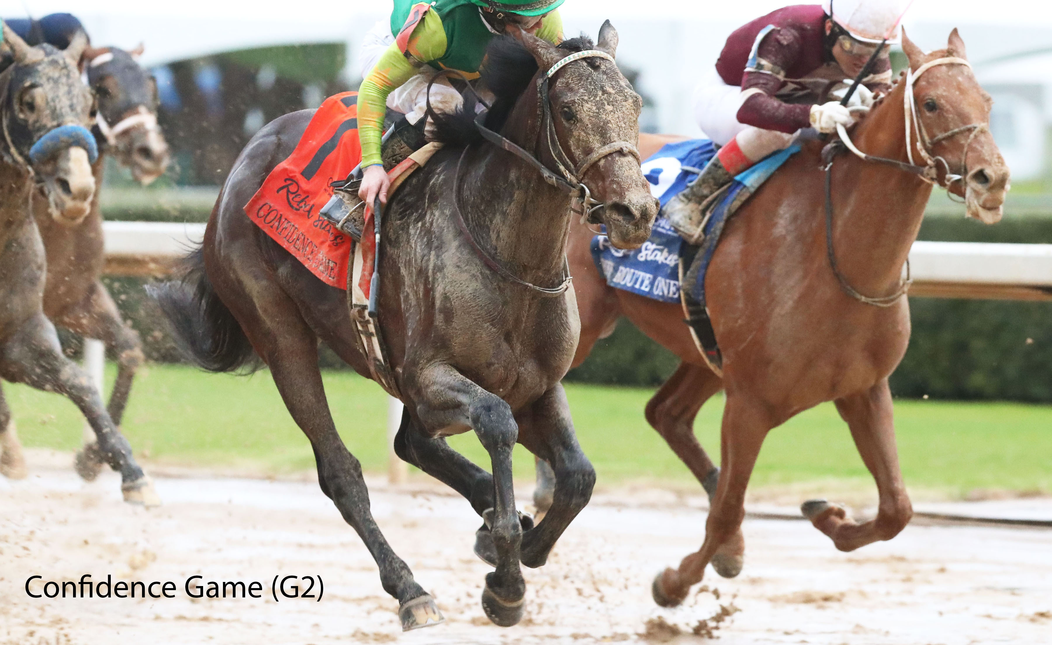 racing image of Confidence Game