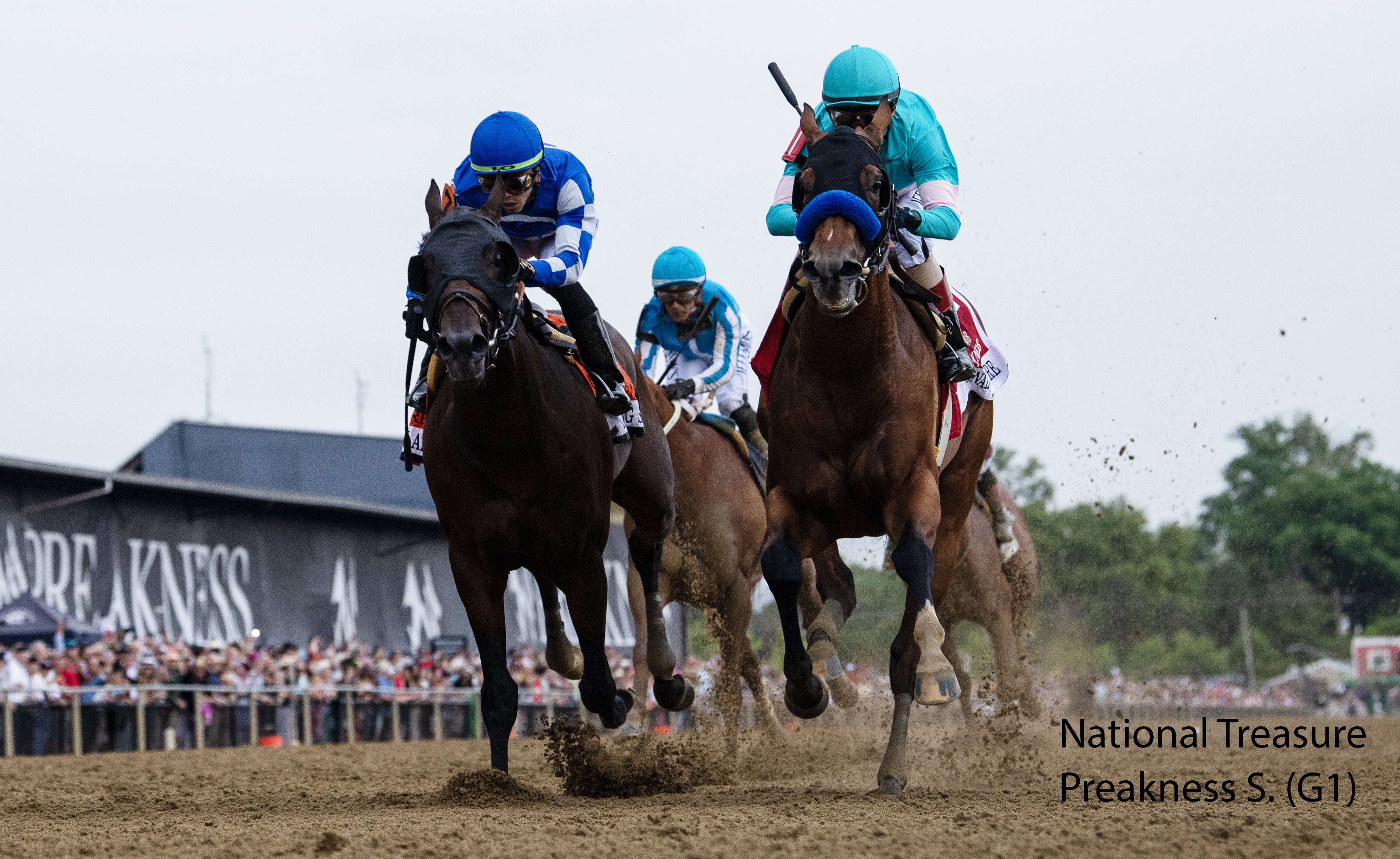 National Treasure image