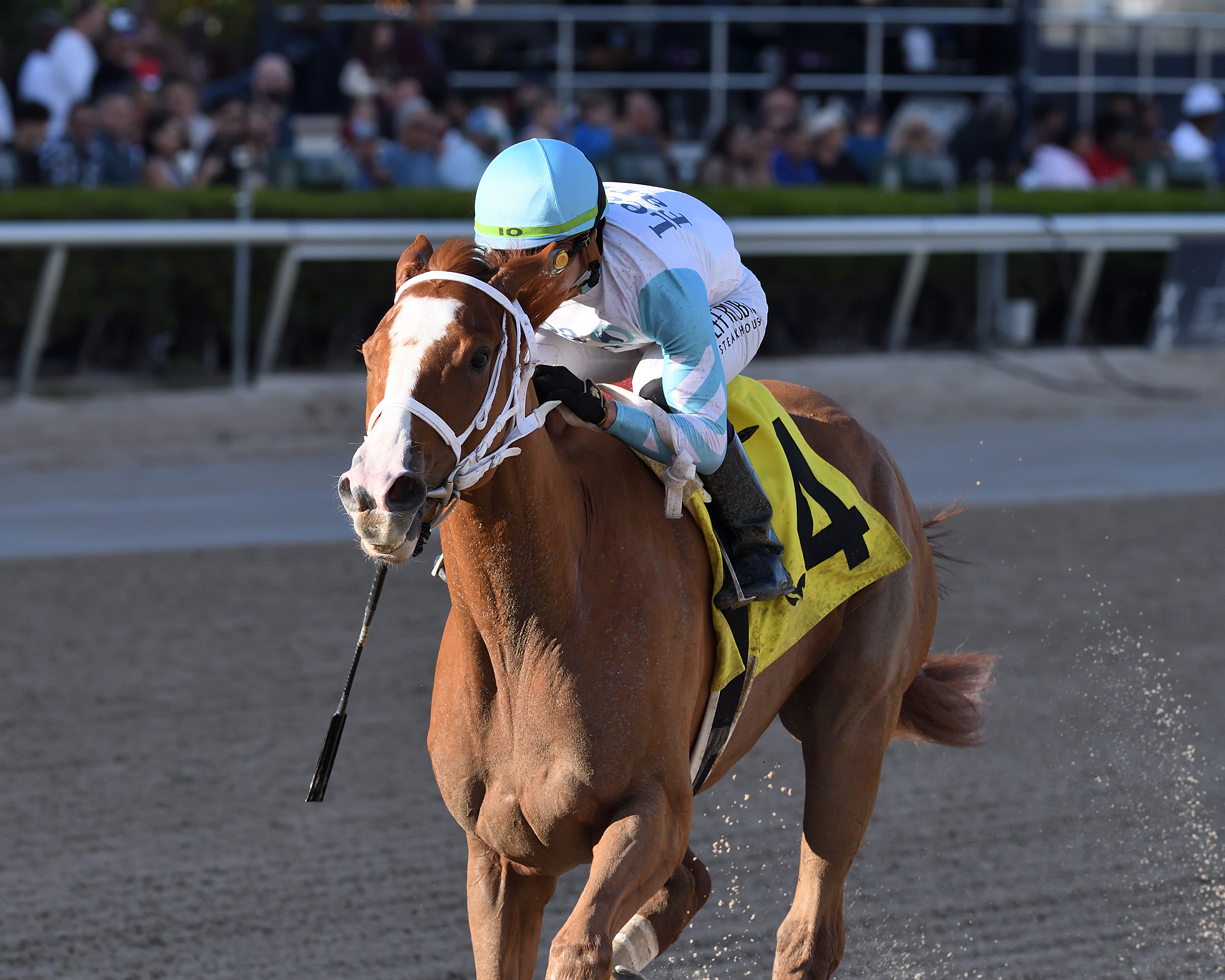 Power Squeeze wins the Cash Run S.