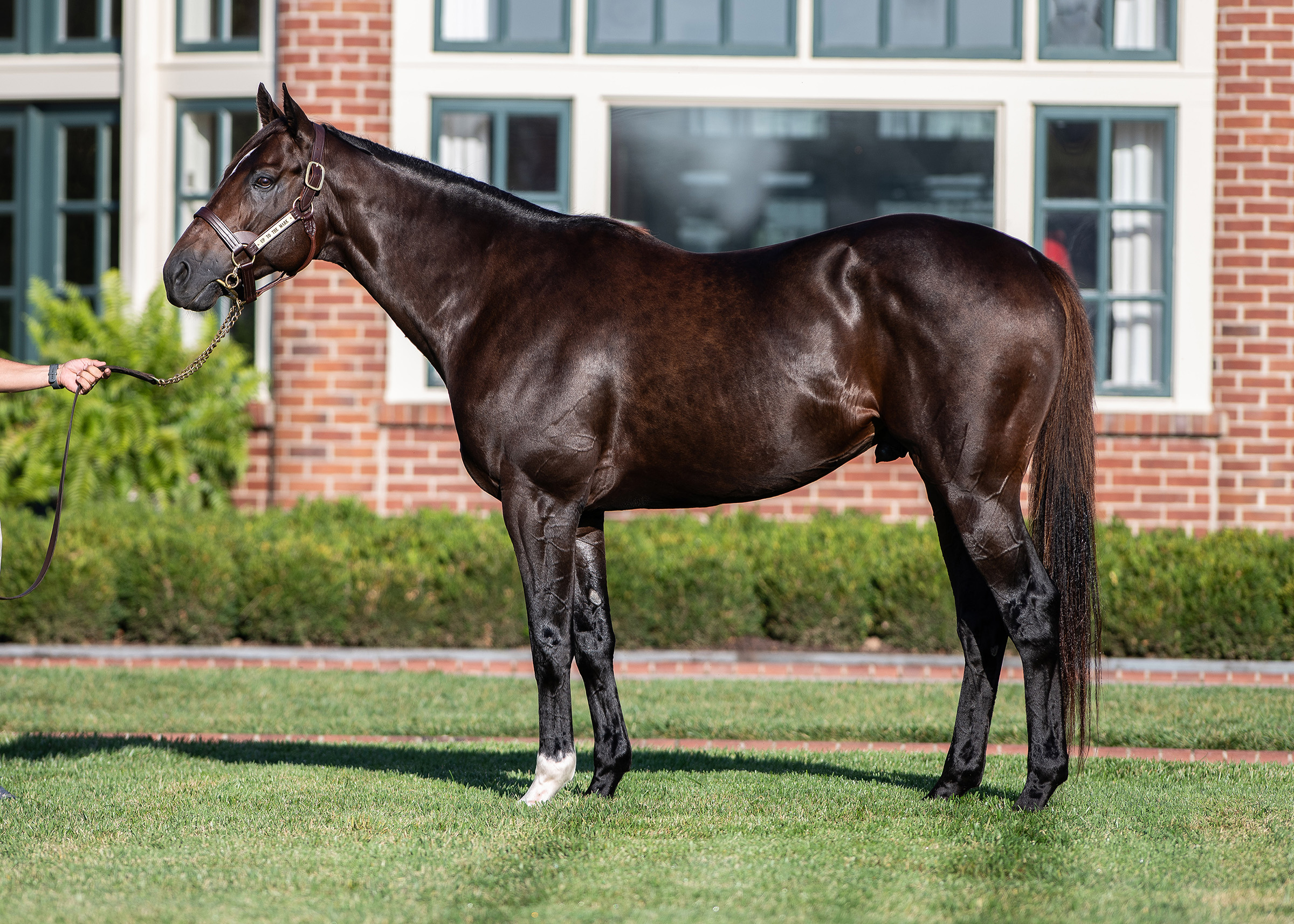 Up To The Mark conformation