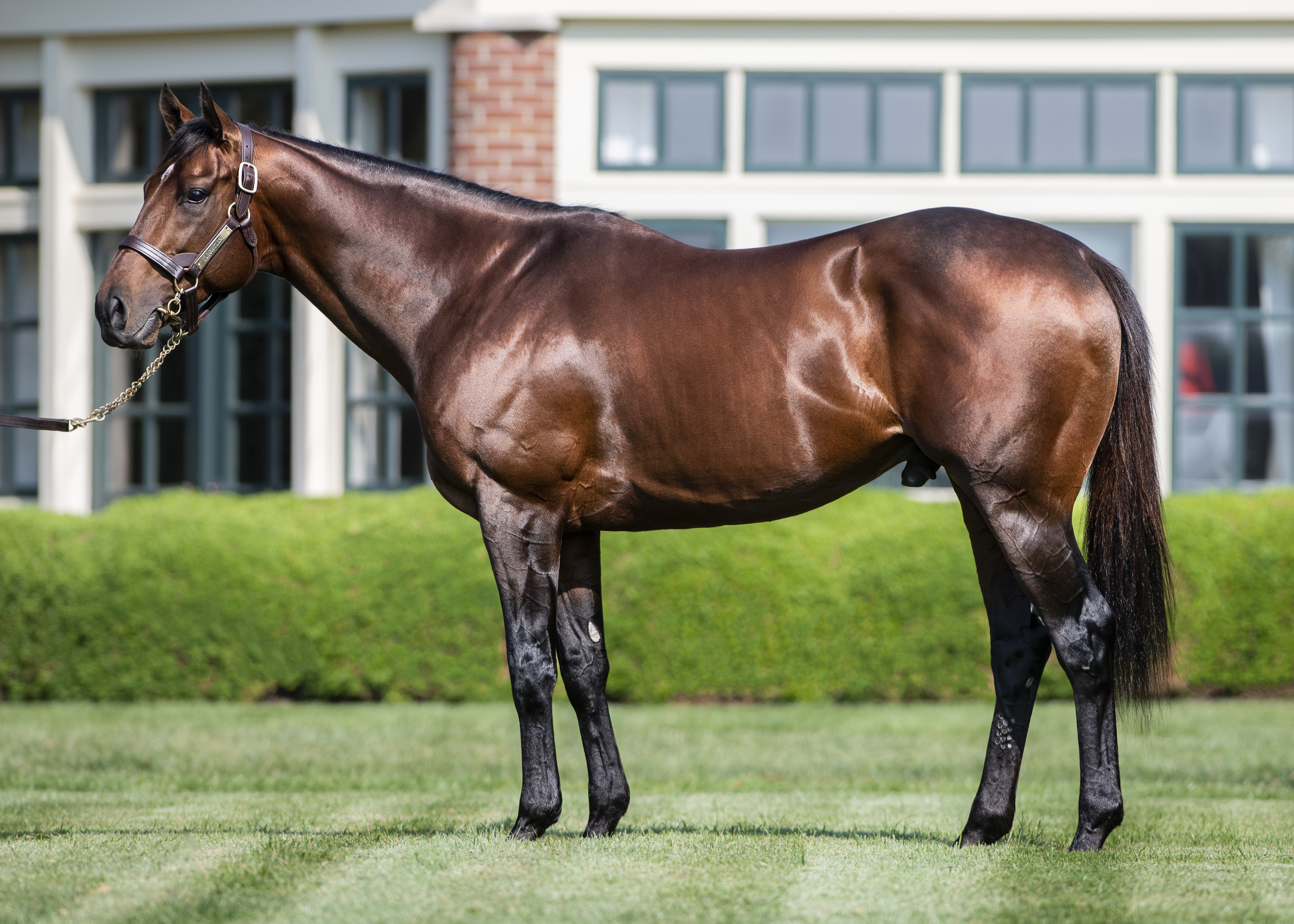 Flightline conformation